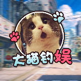 大猫钓娱