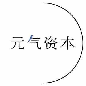 元气资本