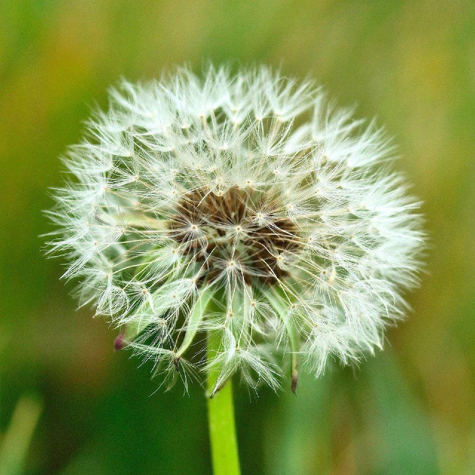 添涂水性地坪漆
