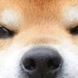 贱贱剪辑
