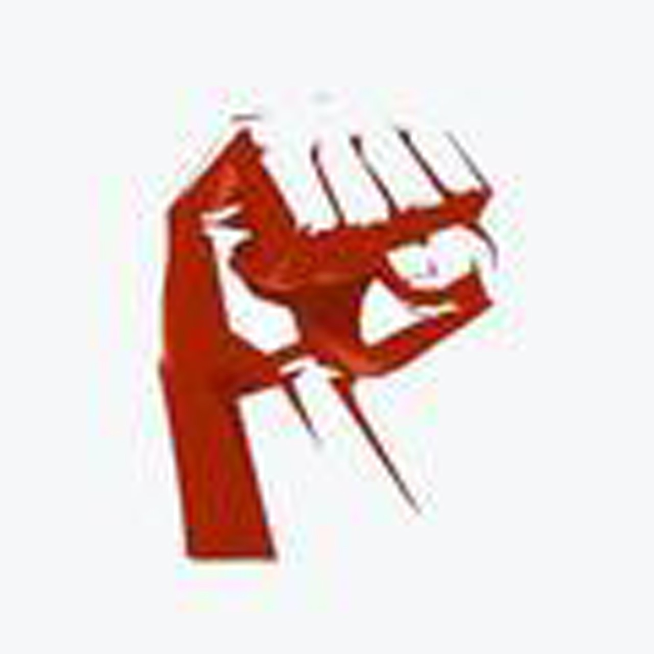 设计质量车评人