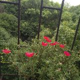 扛起教育这面旗