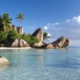 小蜂自驾发动机