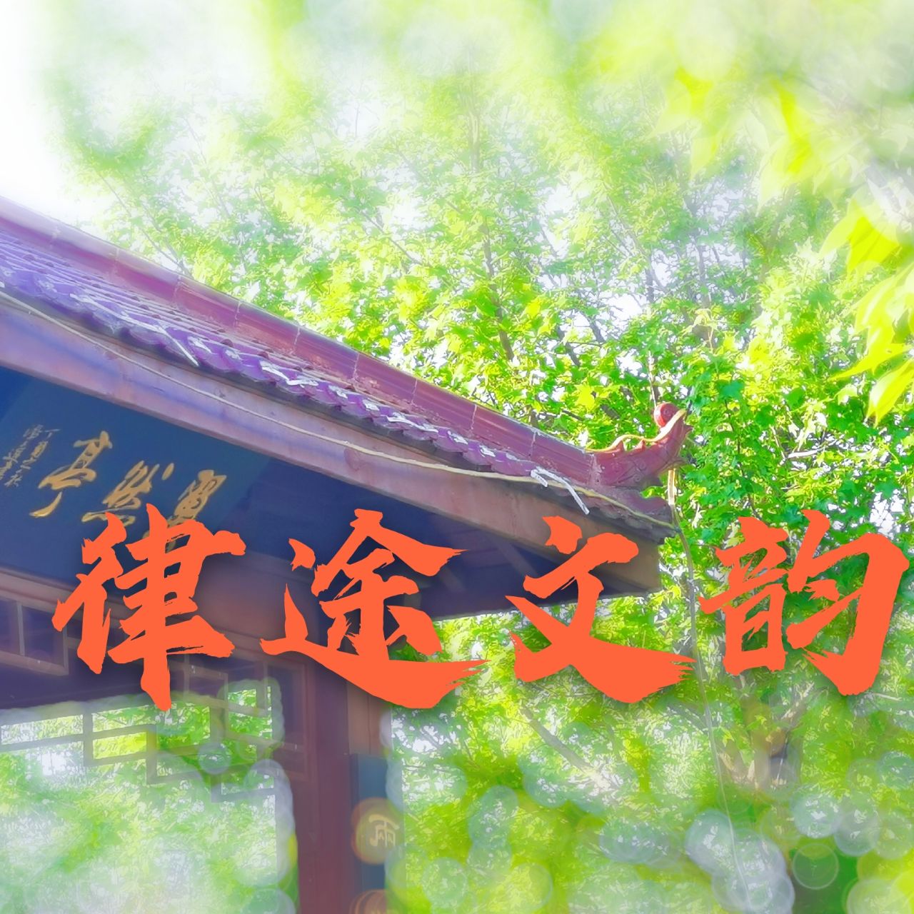 豪放谈不上婉约不入流