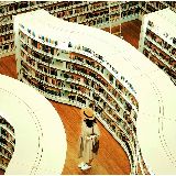 有女如玉书中寻