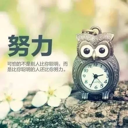 Sunshine的小世界