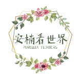 安楠看世界