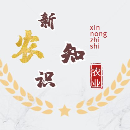 新农知识