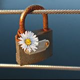 洪都拉斯的等待