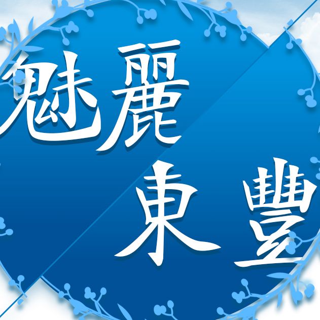 魅丽东丰