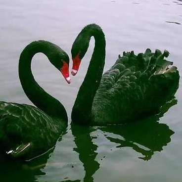 孟明视就爱嗑瓜子