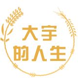 大宇的人生