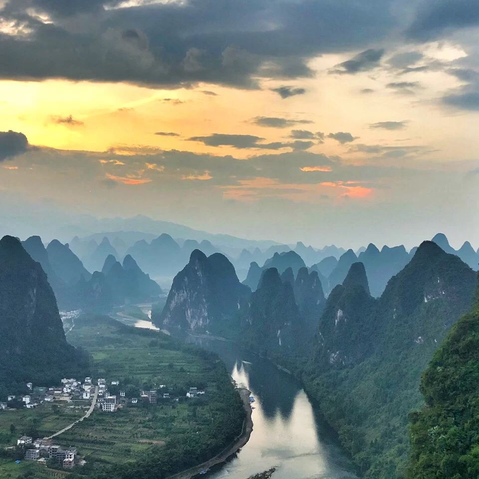 一只天蝎喵喵喵