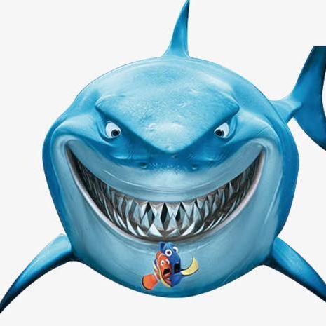 可靠的大黄鱼哥哥