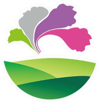 武汉紫薇文旅集团有限公司