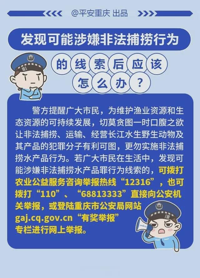 长江禁渔|欢迎广大市民监督举报 拒绝非法捕捞