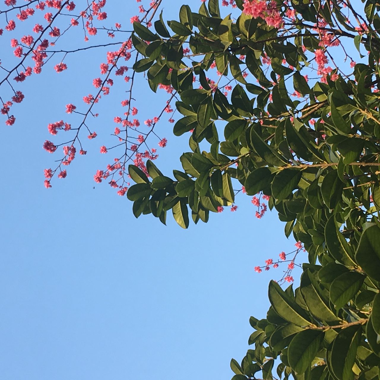 大憨漫游随记
