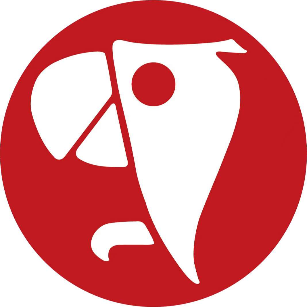 RonnieFei赛车视角