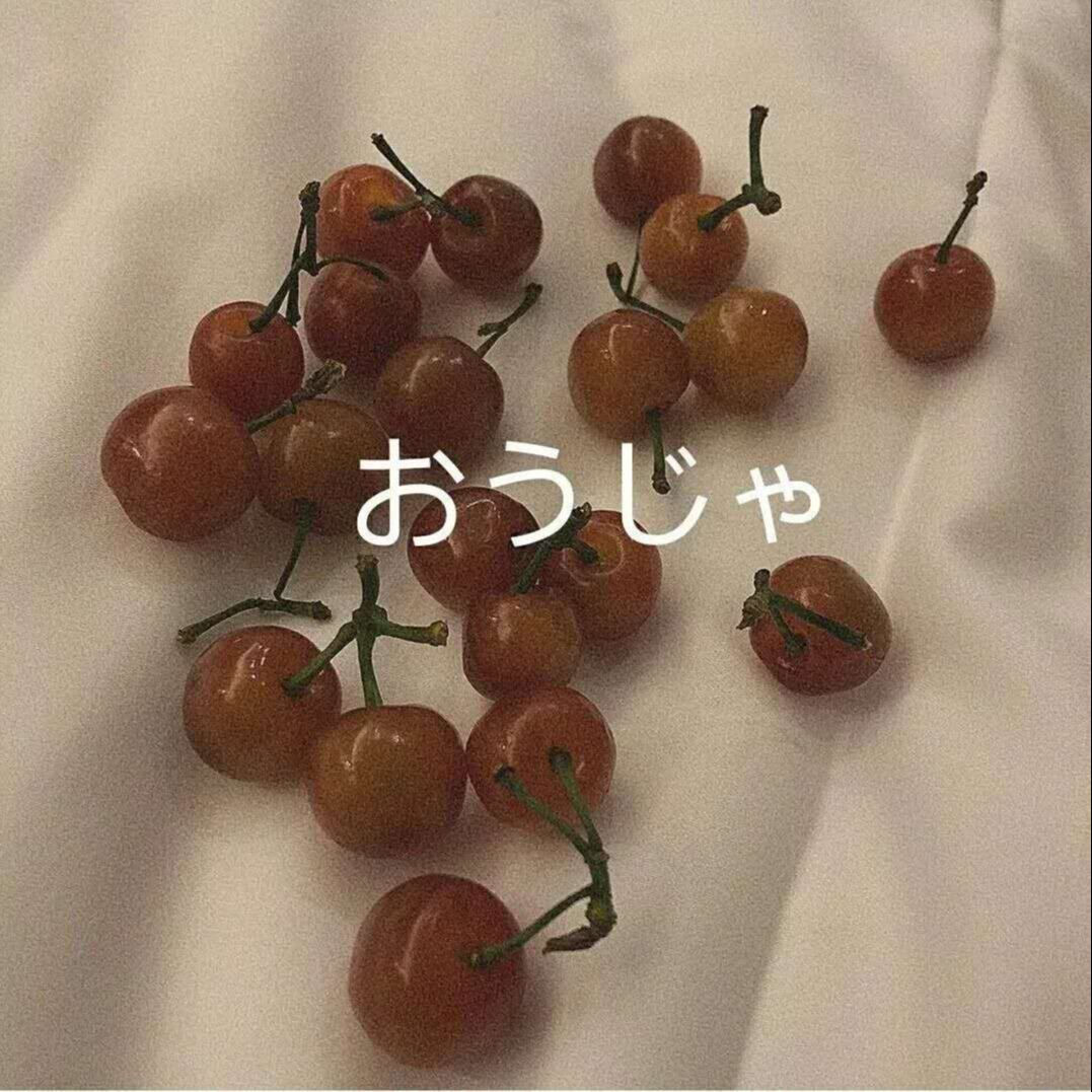 一只超级猪