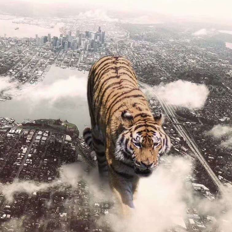 深圳城市更新旧改指标阿豪