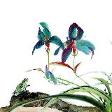 古往今来聊历史