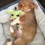 湾湾不是十八路