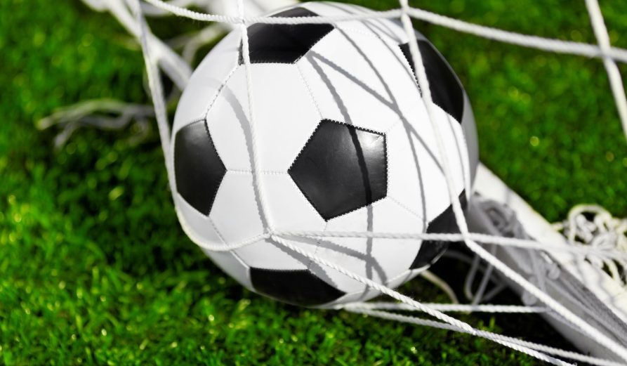 体育来一发快咨询