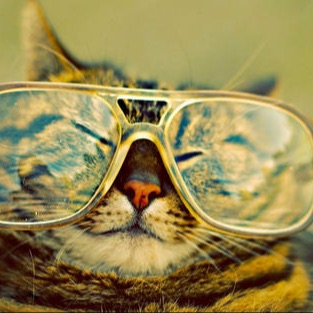 爱看剧的板蓝根