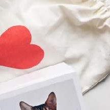 你一定会闪闪发光