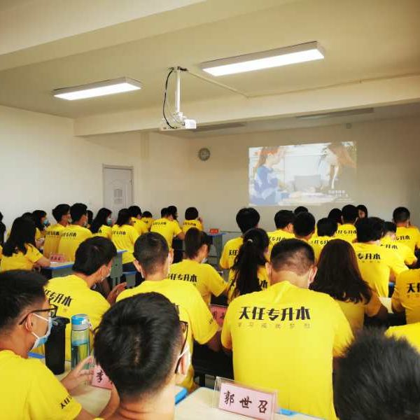 河南专升本服务中心