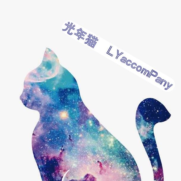 光年书屋的猫