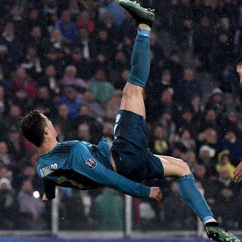 不会飞的小飞鱼