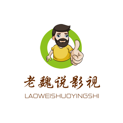 老魏说影视