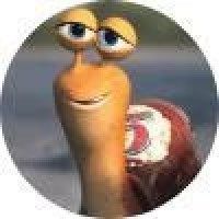 圆滚滚的蜗牛先森