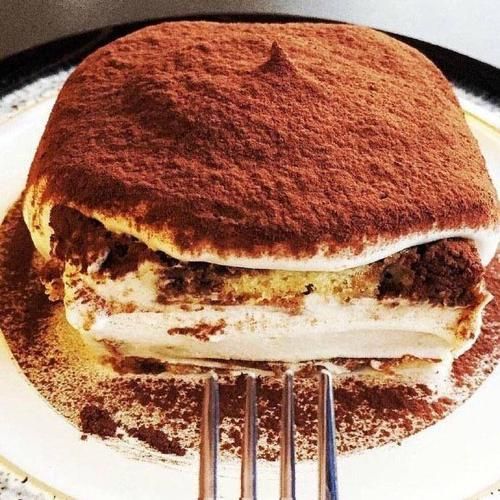 终极格斗冠军赛