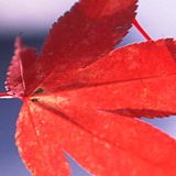 深圳百斯特控制