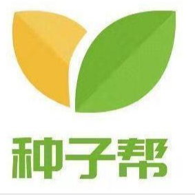 种子帮