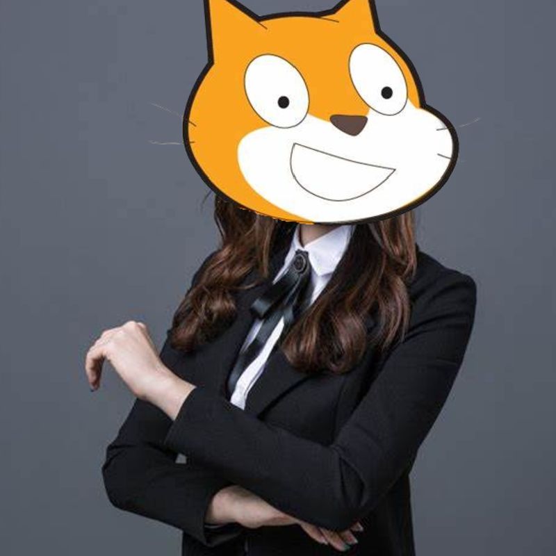 黑壳打假青少年编程