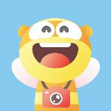 跟着小蜂逛地球