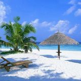 用笔尖书写旅行