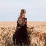 小蚂小蜂看天下