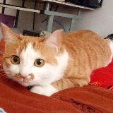 逃都逃的这么帅