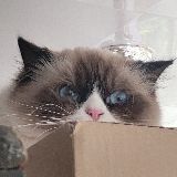 宅小陌的奇幻漂流