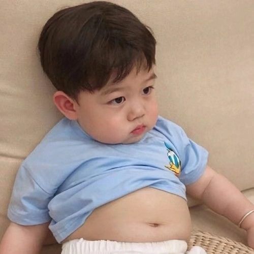 小湿弟看世界