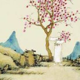 玉兰花开情意浓