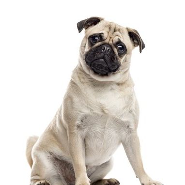 人性纪录片讲述