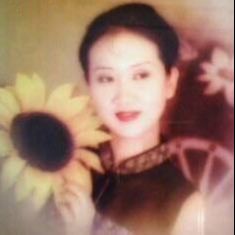 太阳下舞蹈的向日葵