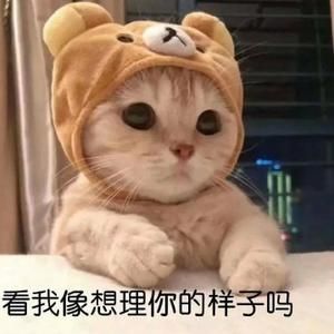 你说王子请玩机