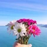 触动心灵的情感