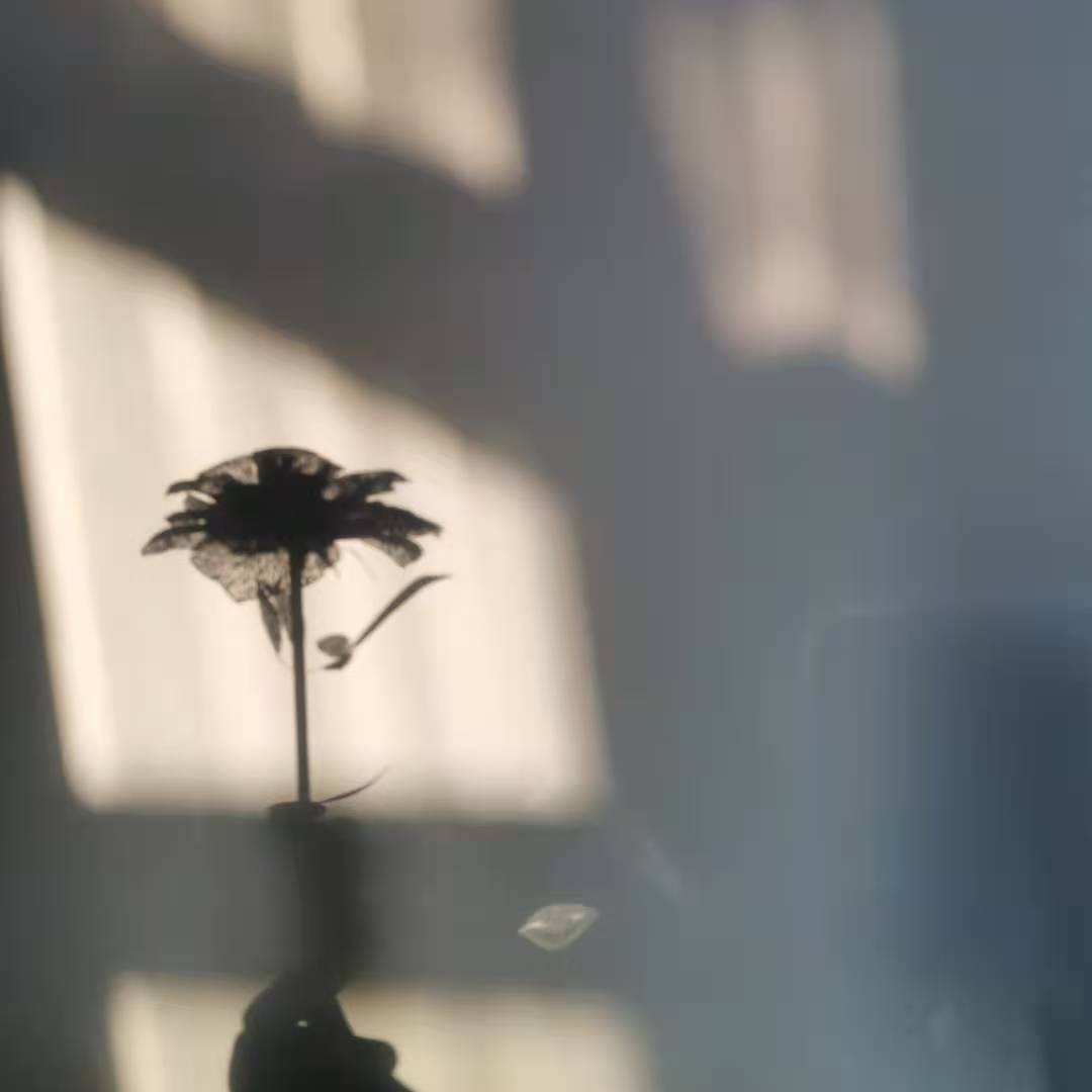 章鱼小姐的书吧